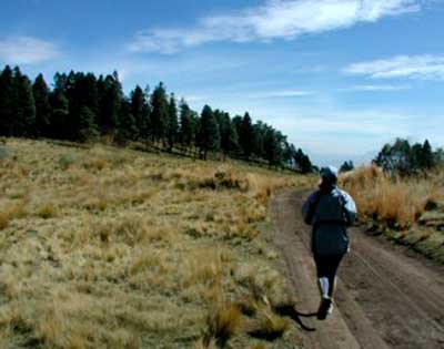 Correndo morro acima